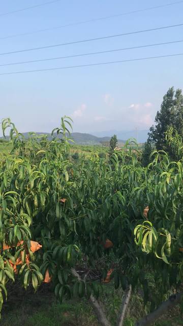 亚洲综合一区无码精品海报