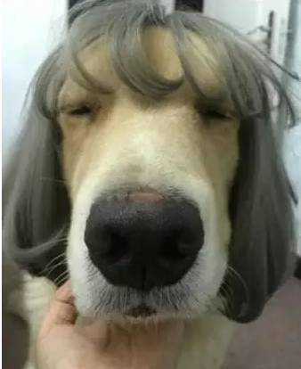 4k模特视频 竟比精准对焦时多了几分动感