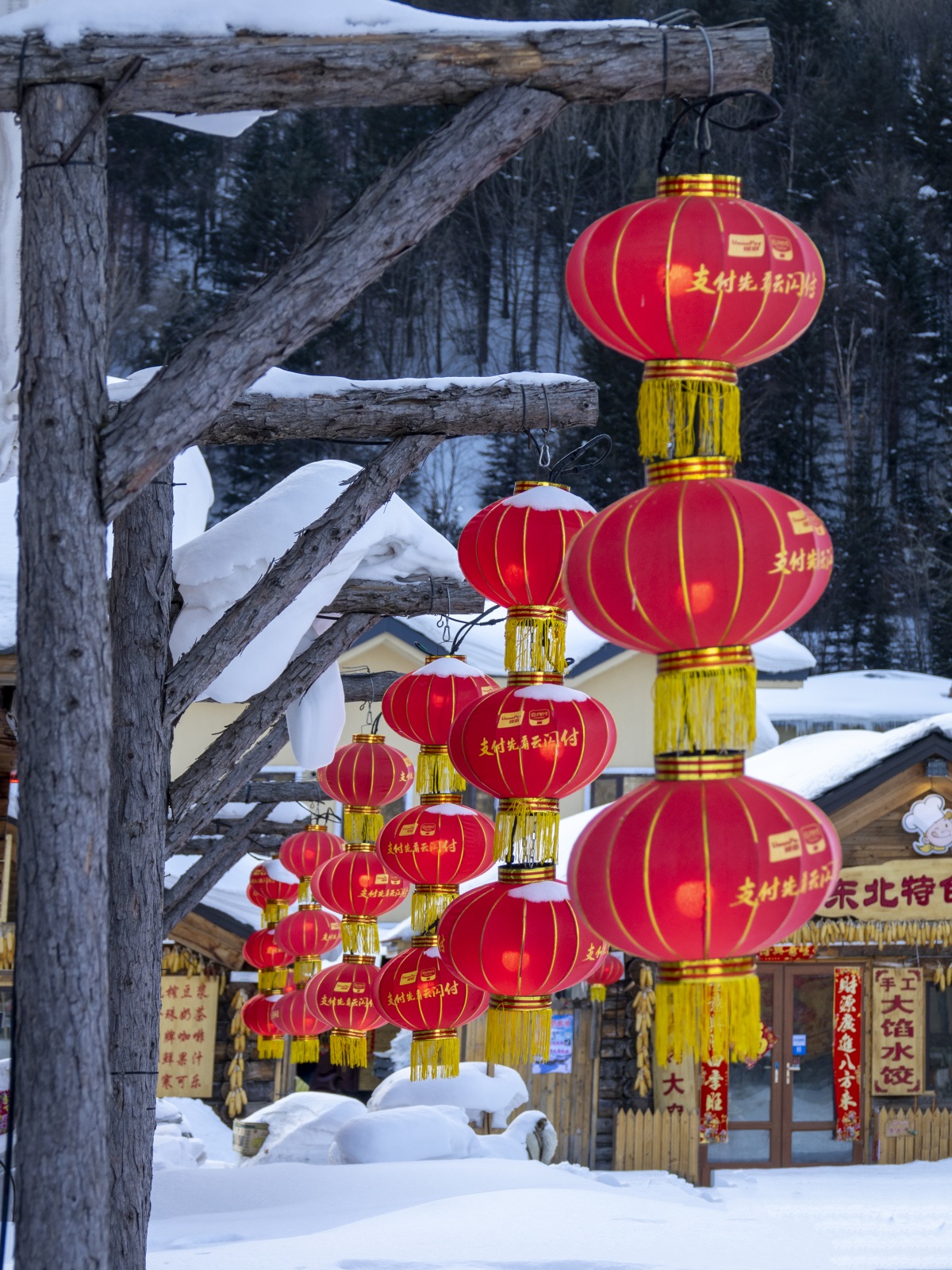 酒店实习生啄木鸟海报