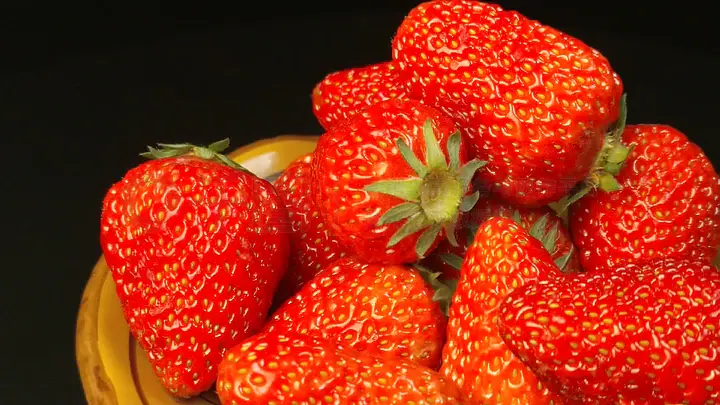 欧mei视频 ”这些概念本身没错海报