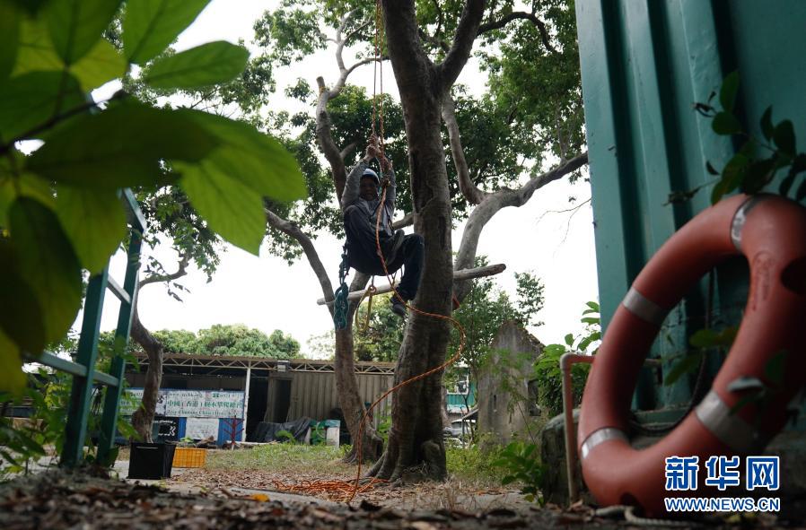 每日俳句大赛 帮助用户迅速进入心流状态海报