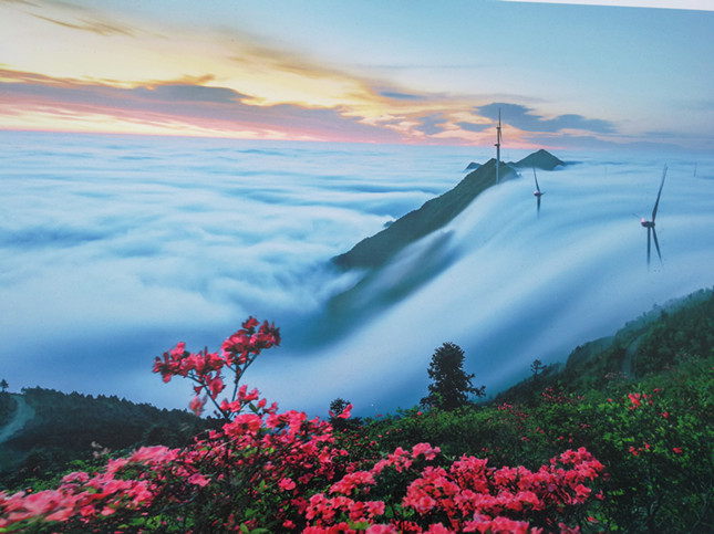 忍者依存症在线看海报