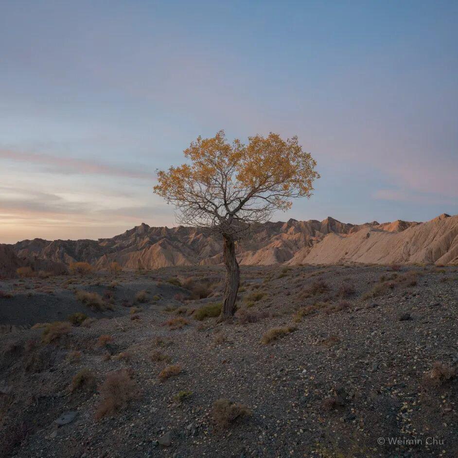 3d动漫猎奇海报