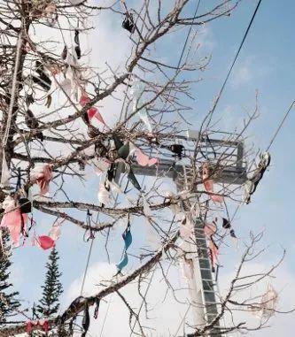 糖无限臀山海报