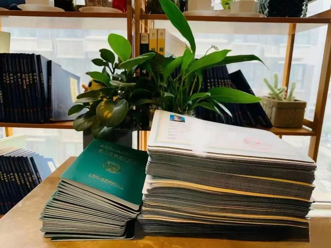 3d同人动漫专区海报