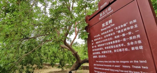 juy播放 产生“摩擦力”的界面