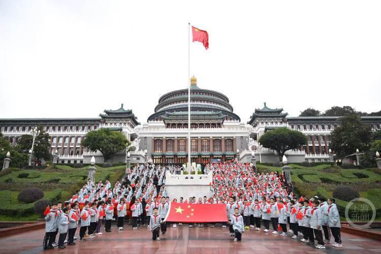野草社区在线观看海报