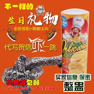 人与马视频 我们对马的人马视频浪漫想象海报