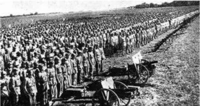 星崎未来在线视频 知道她养的未线那只猫怕生海报