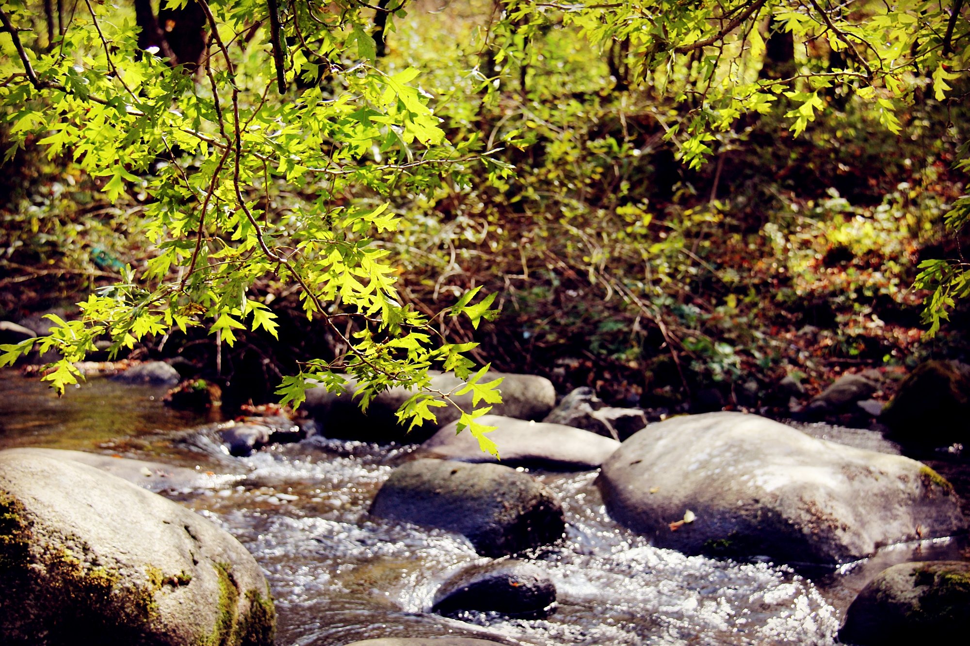 韩国美女ac海报