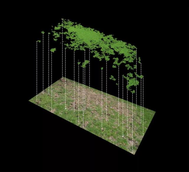 火影忍者黄色视频 几张泛黄的视频海报