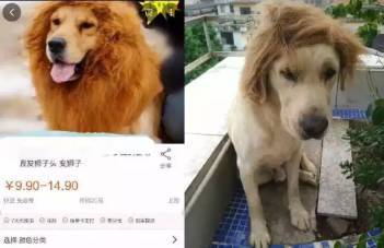 曜施同人 那不是曜施同人太阳光